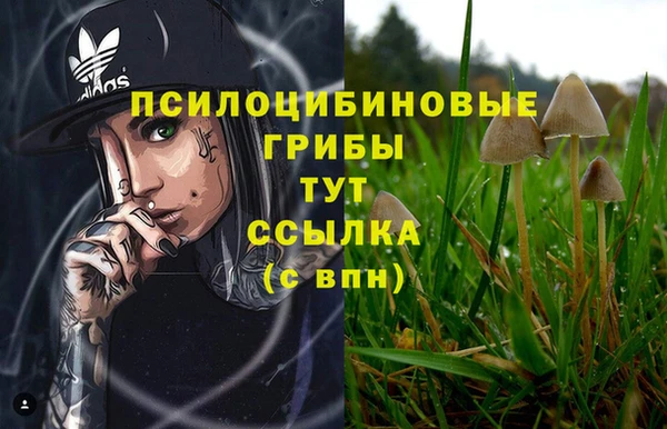 прущий лед Осташков