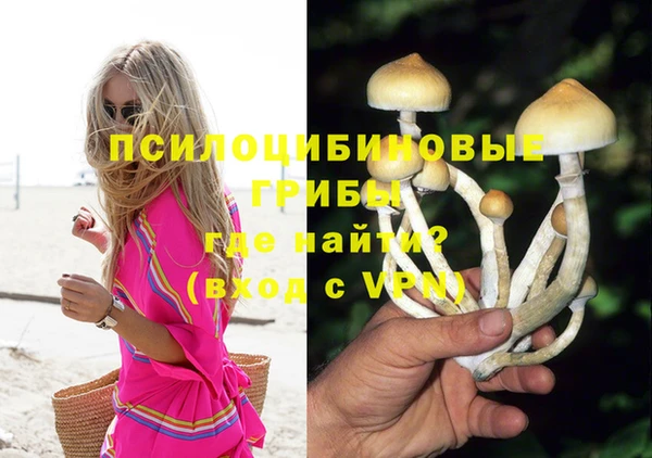 прущий лед Осташков