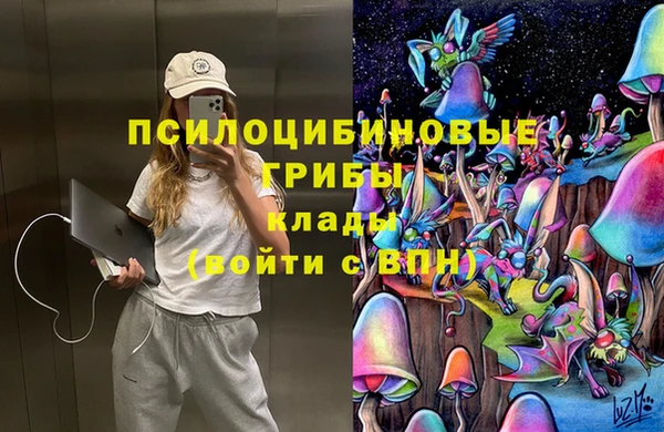 прущий лед Осташков