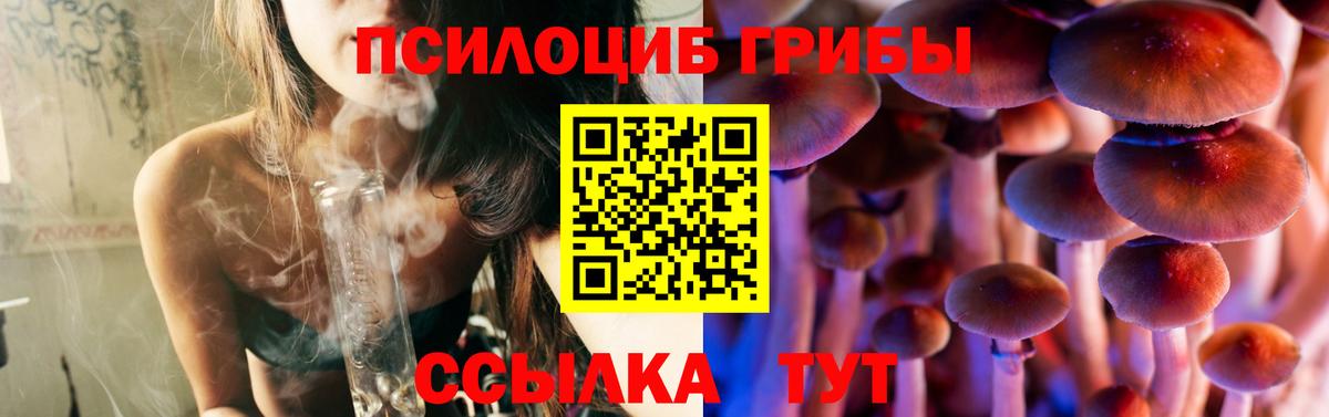 Галлюциногенные грибы MAGIC MUSHROOMS  Вход с VPN  Краснодар  где купить наркоту  Псилоцибиновые грибы ЛСД 